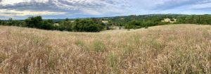 Sierra Nevada Foothills Farmland In Placer County, California