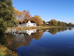 lake in autumn
