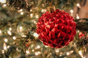 Spiky, red tree ornament