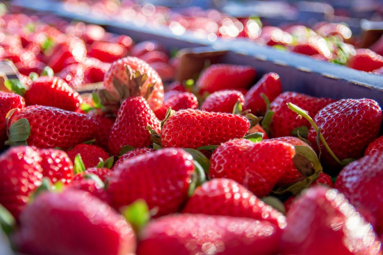 Close-up of strawberries