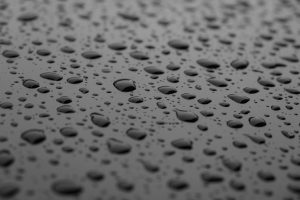 A closeup of some water droplets after a fresh rainfall.
