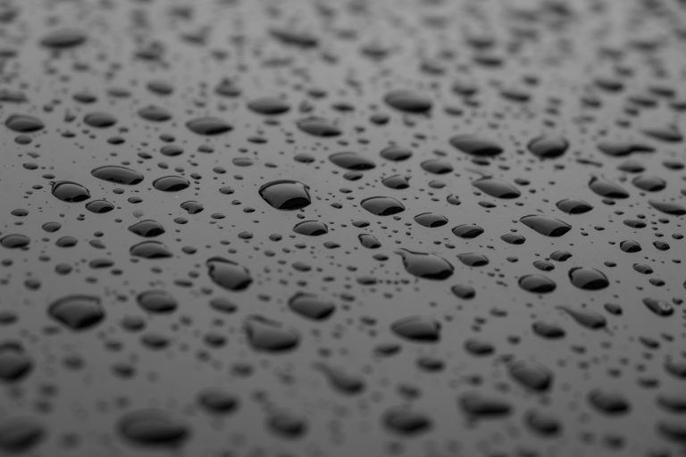 A closeup of some water droplets after a fresh rainfall.