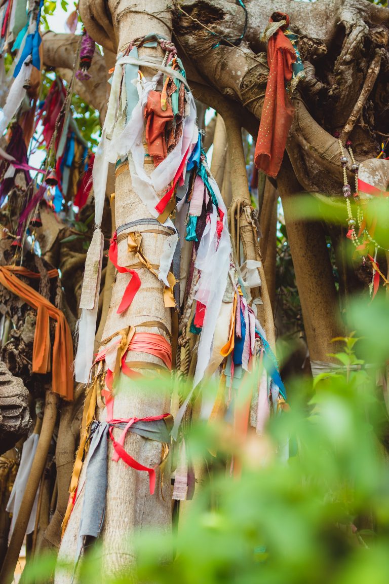 Colorful strips of decorative cloth tied to a tree