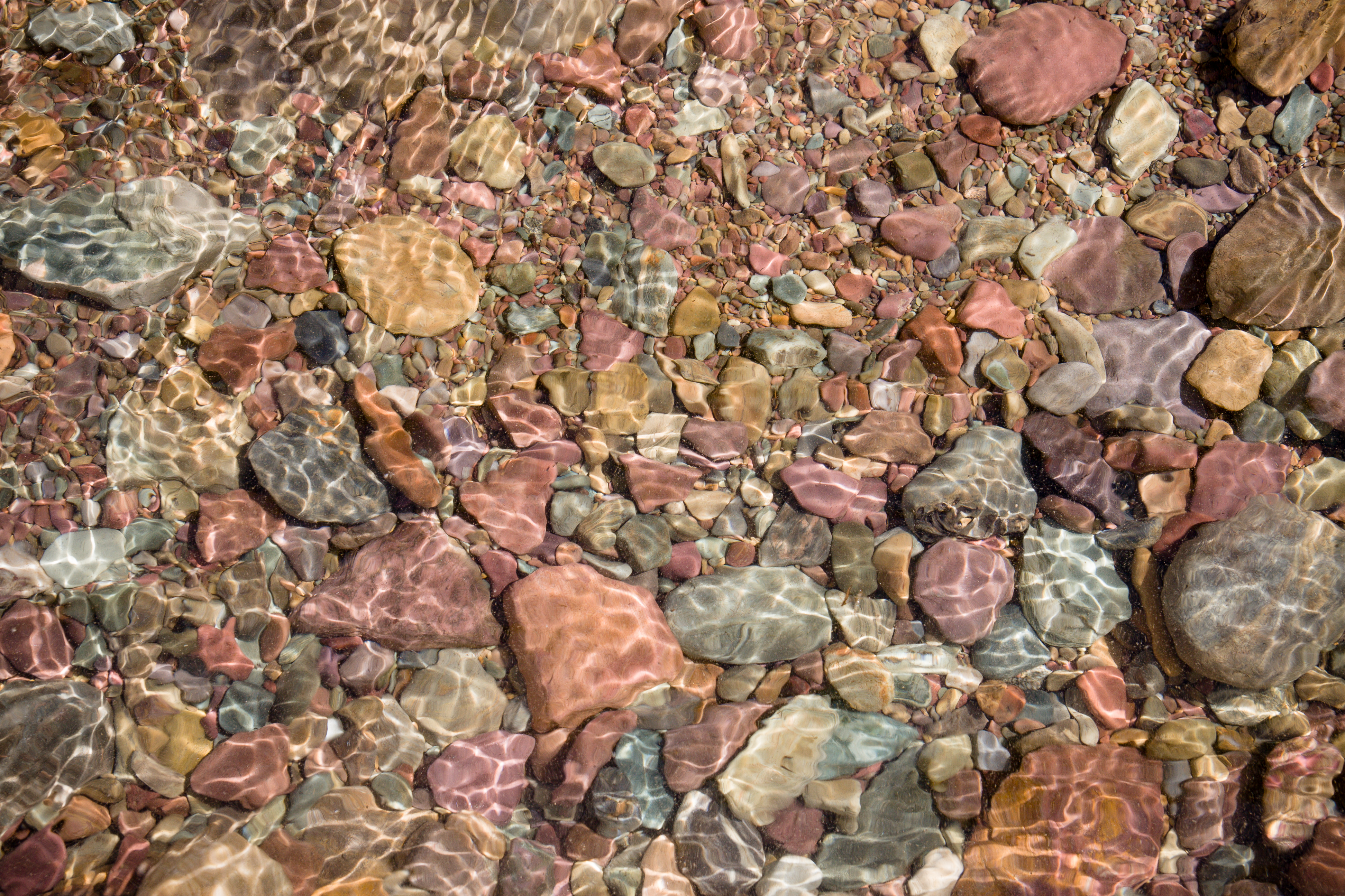 Pebbles in Lake McDonald, Glacier NP