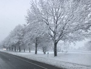 Snow Day in Clifton Park NY

