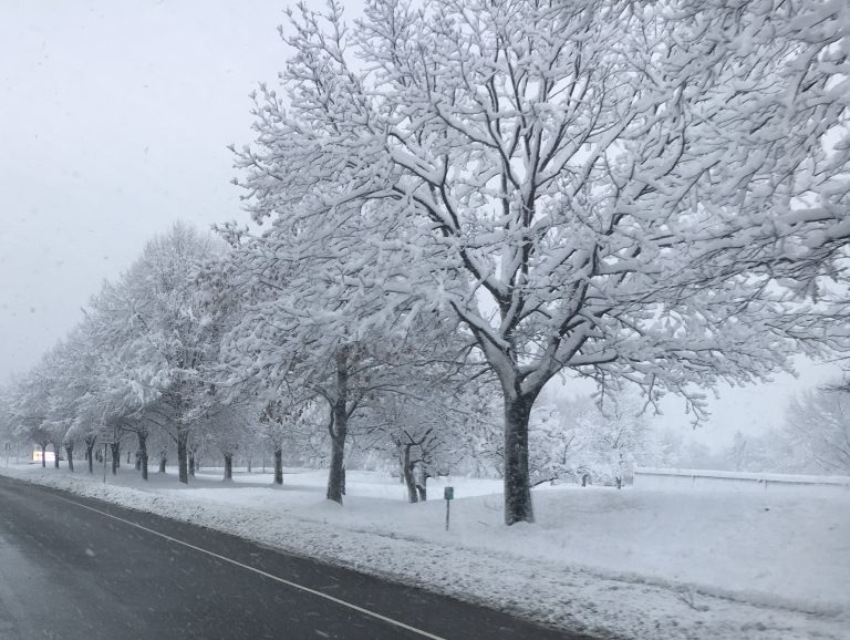 Snow Day in Clifton Park NY