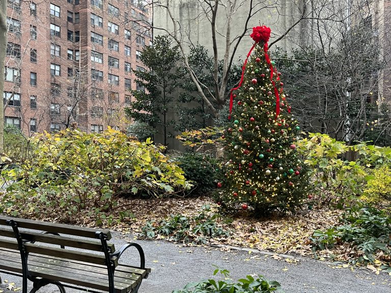 Christmas tree in a park in New York City