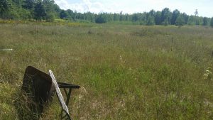 Abandoned wheelbarrow in a field