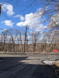 A city street, with a metal guard rail on the side and trees behind it.