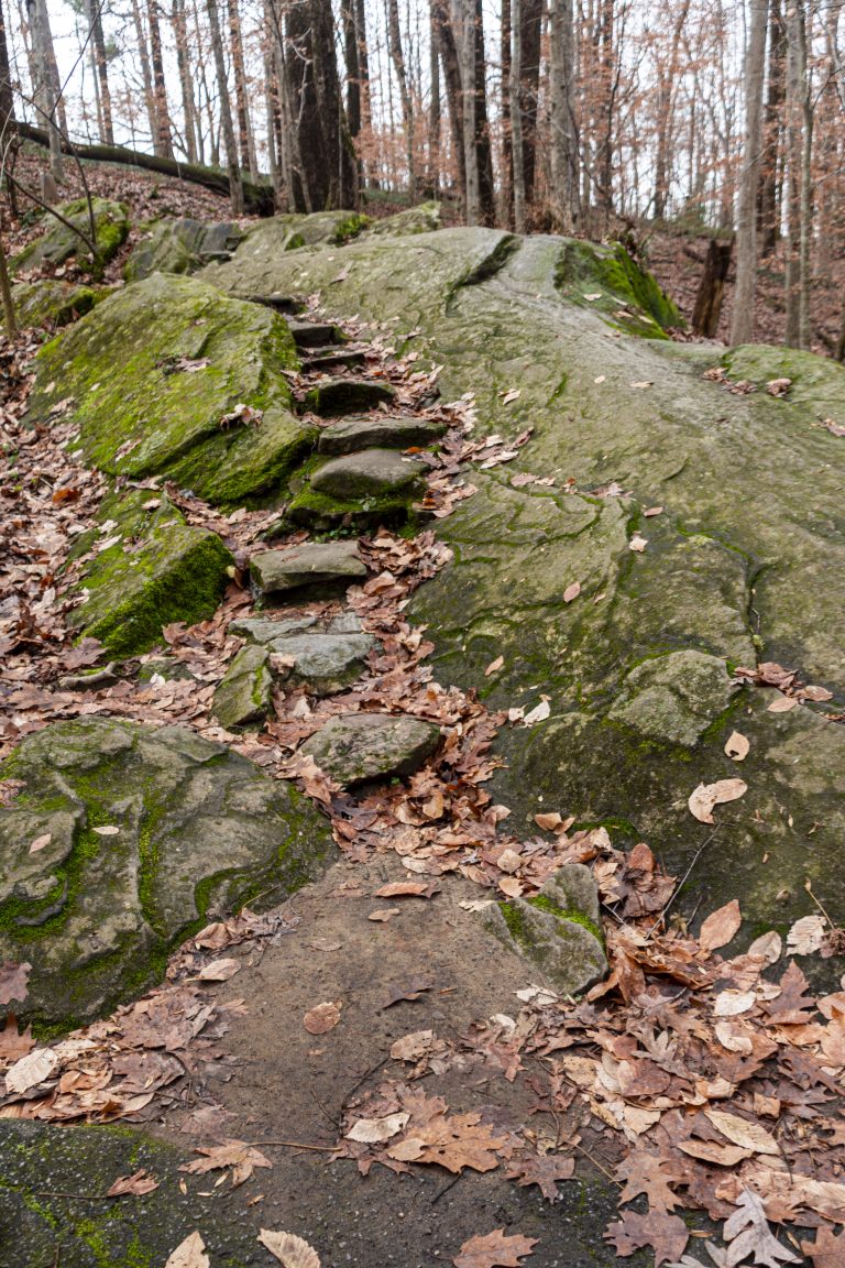 Stone steps in a rocky garden