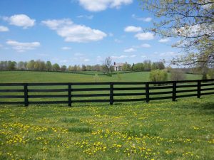 Farm, Lexington Kentucky
