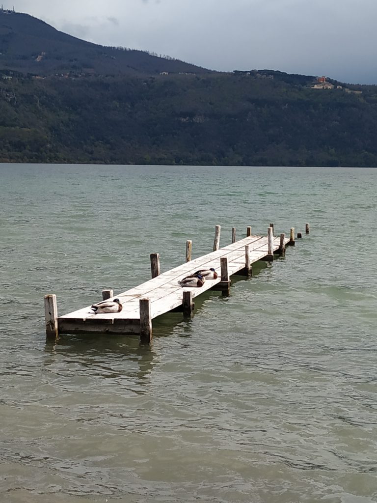 A lake near Rome