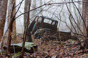 Abandoned pickup truck in the forest