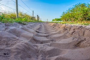 Tractor tracks in the sand along a field fence