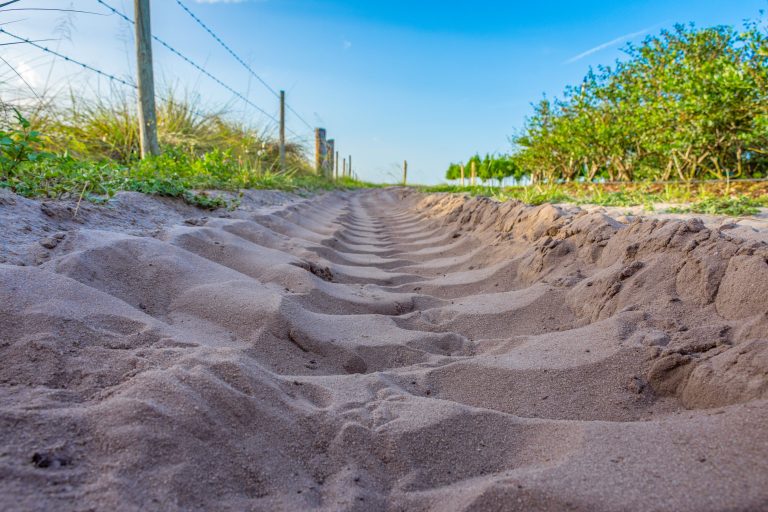 Tractor tracks in the sand along a field fence