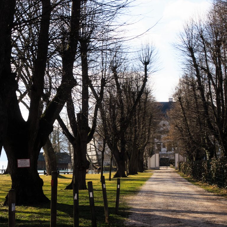 Avenue of Schloss Kammer Park, a subject of a landscape painting done by Gustav Klimt in 1912