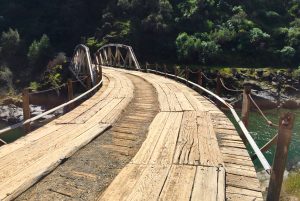 Old Wooden Vehicle Bridge In The Forest