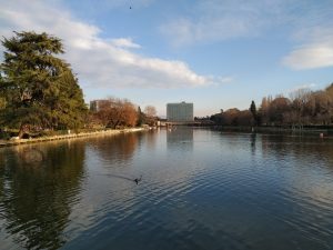 Lake of EUR, Rome