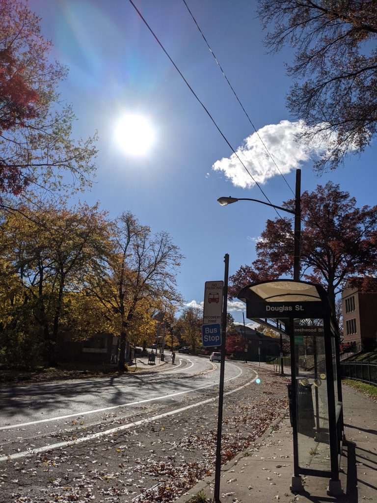 The sun shining over a curvey road