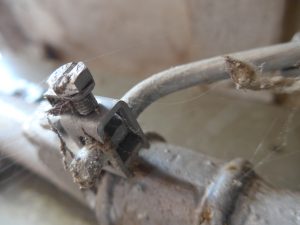 An old rusty bolt
