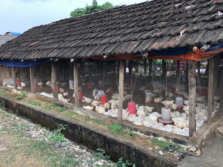 A chicken house from western Nepal