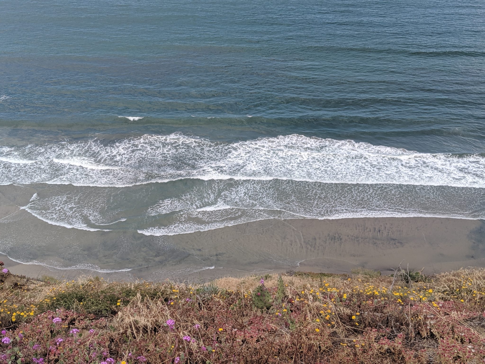 Image of Ocean waves crash on a sandy beach at Torrey Pines State Nature Reserve near San Diego, California, United States. by Dave Ryan