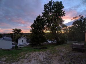 A large tree during sunset in the midwestern United States