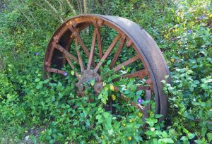 Old Metal Wagon Wheel Among Purple Flowers