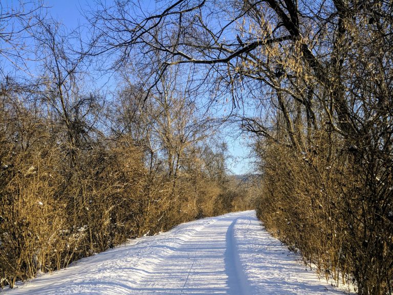 A snow covered path through trees