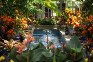 Indoor garden with flowers and fountains