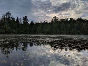 Summer haze over small lake