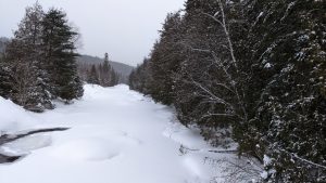 Canadian winter, frozen river in the middle of the forest.
