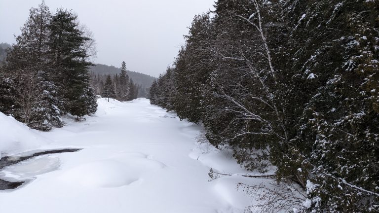 Canadian winter, frozen river in the middle of the forest.