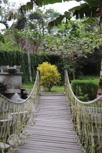 Wooden bridge