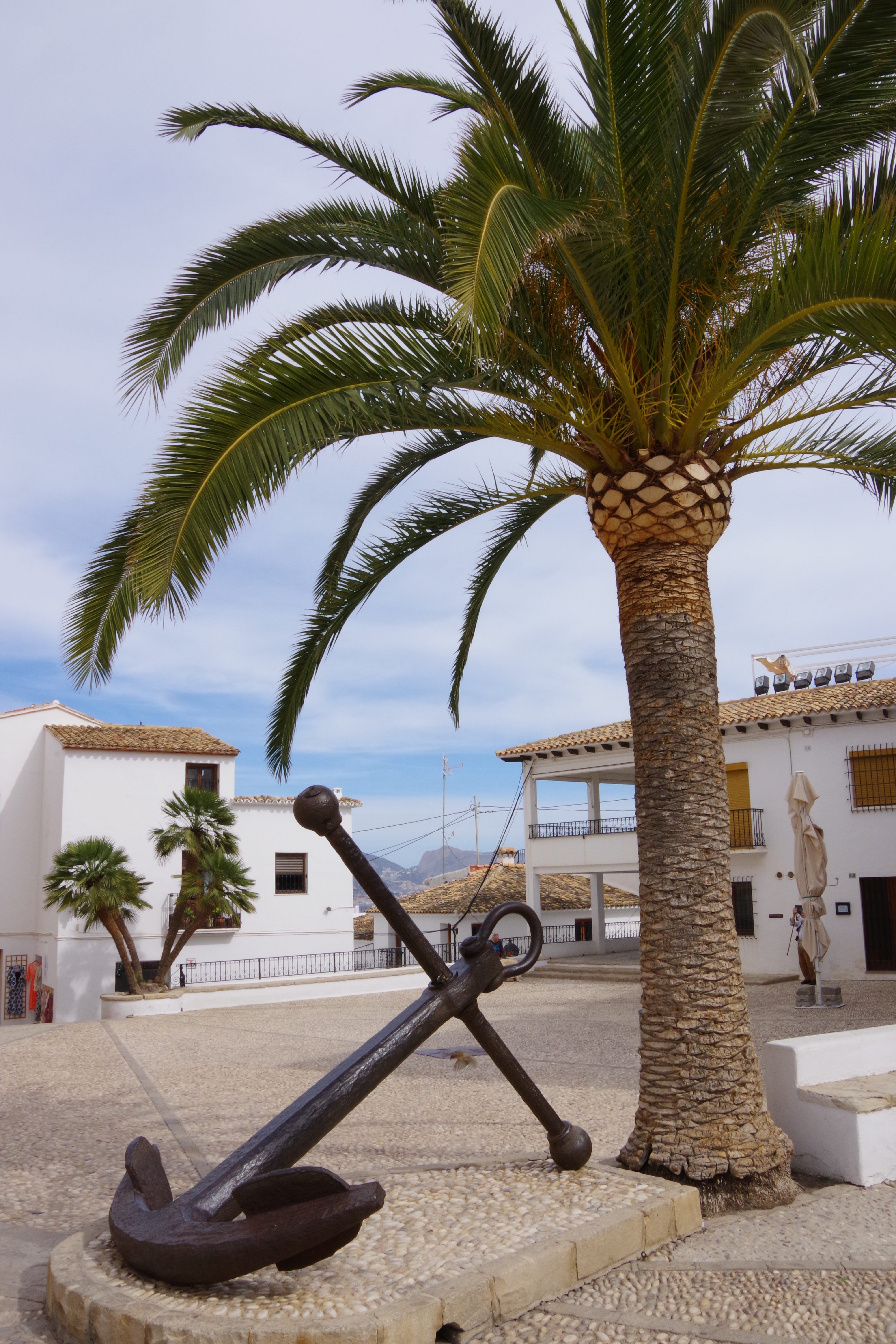 Palm Tree & Anchor