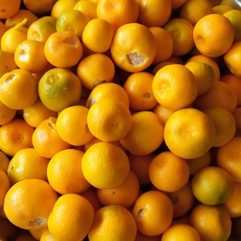 Kumquats