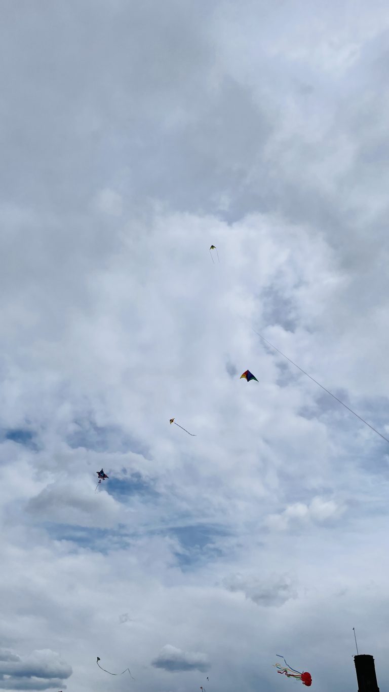 Kite flying during the national cherry blossom festival washington dc