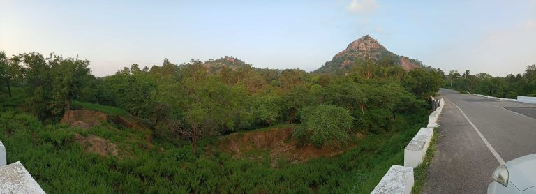 Natural photo of Ambaji forest