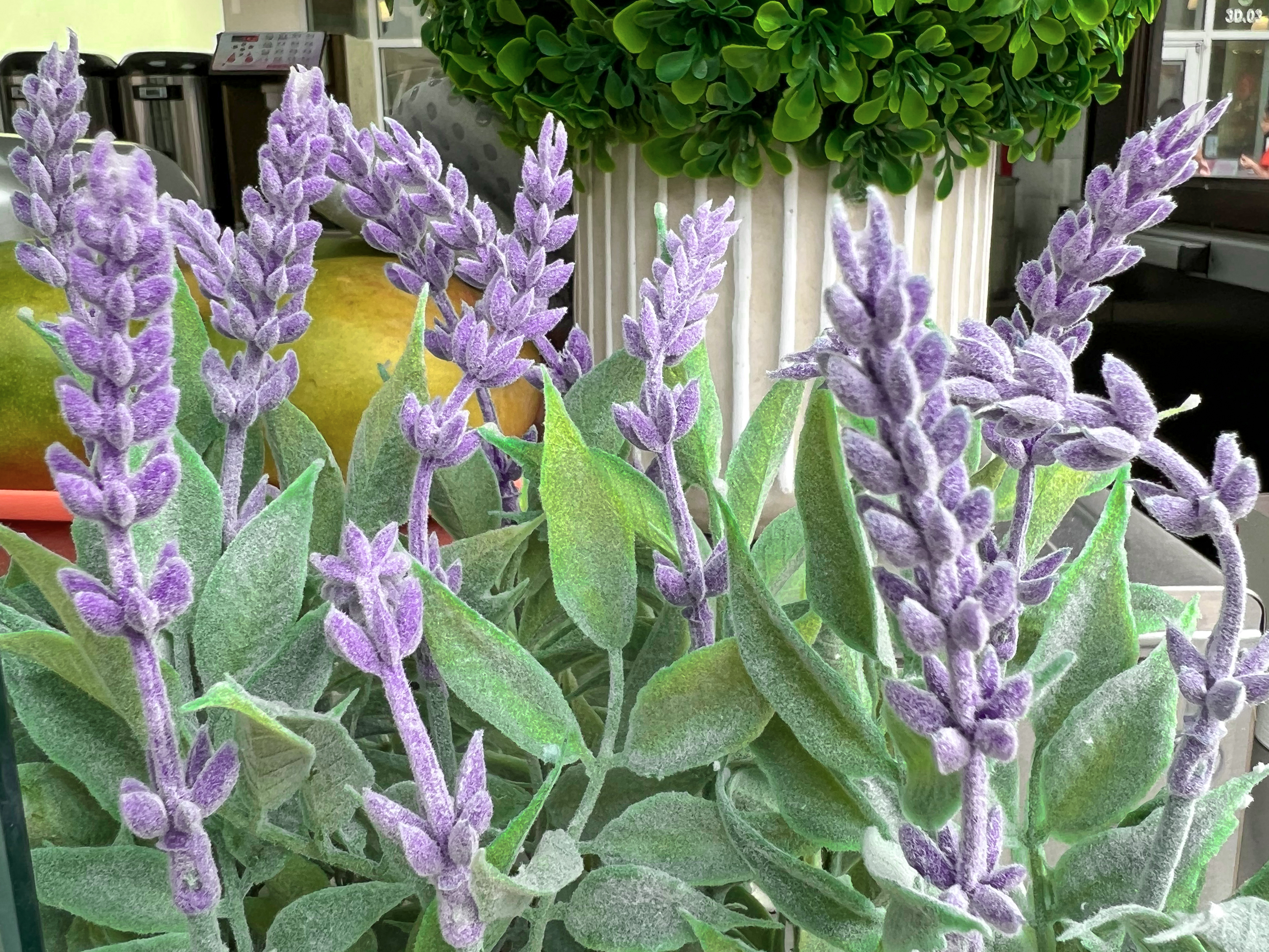 Fake lavender plant