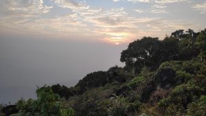 Trees, Hill, Nature and Sun