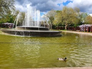 Germany Nord Park Fountains Ducks