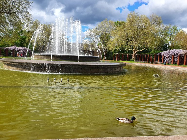 Germany Nord Park Fountains Ducks