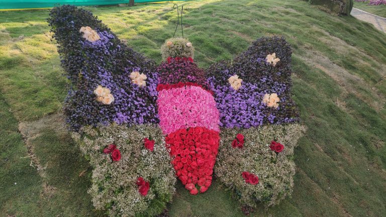 Butterfly Made by Flowers