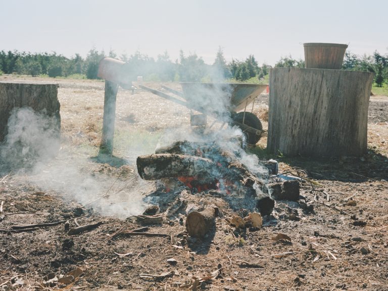 Campfire and smoke