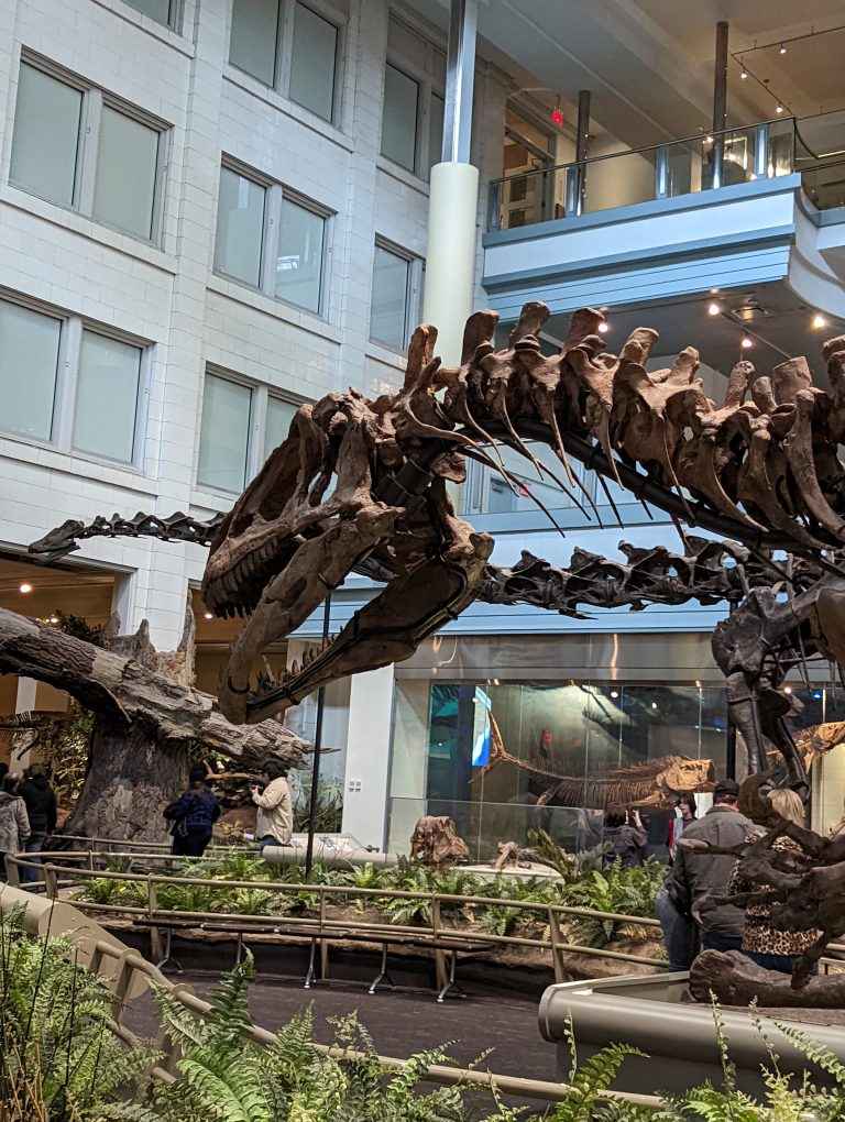 Big dinosaur skeletons at Pittsburgh’s Carnegie Museum