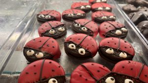 Chocolate lady bugs