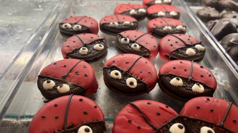 Chocolate lady bugs