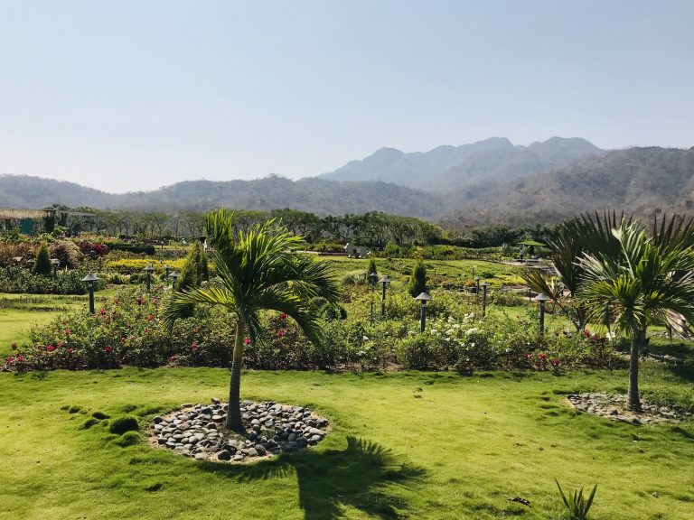 Garden, tree, mountain