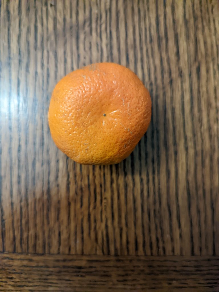 One small orange on a table