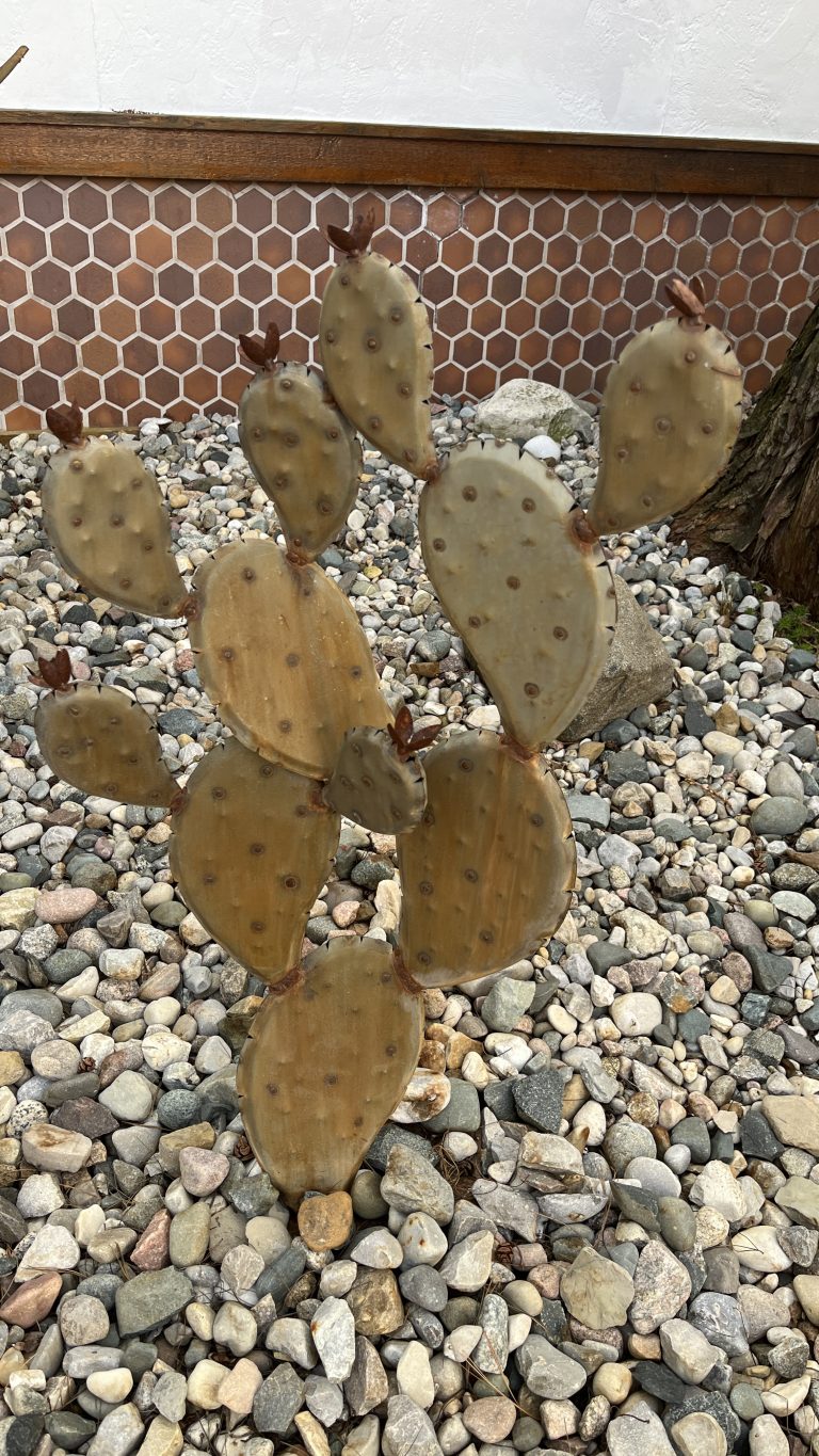 Cactus made of steel